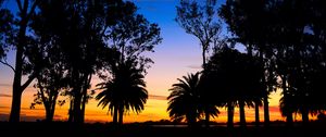 Preview wallpaper lagoon, palm trees, landscape, sunset