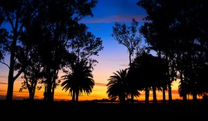 Preview wallpaper lagoon, palm trees, landscape, sunset