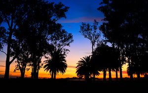 Preview wallpaper lagoon, palm trees, landscape, sunset