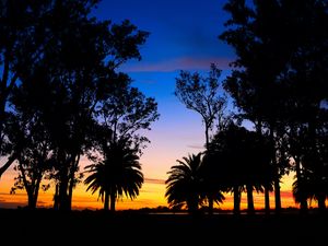 Preview wallpaper lagoon, palm trees, landscape, sunset