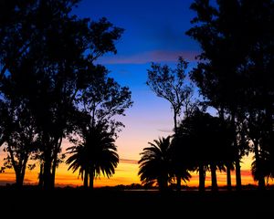 Preview wallpaper lagoon, palm trees, landscape, sunset