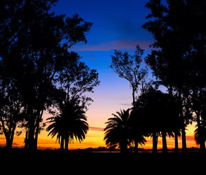 Preview wallpaper lagoon, palm trees, landscape, sunset