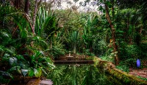 Preview wallpaper lagoon, trees, green, tranquility, sao paulo, brazil