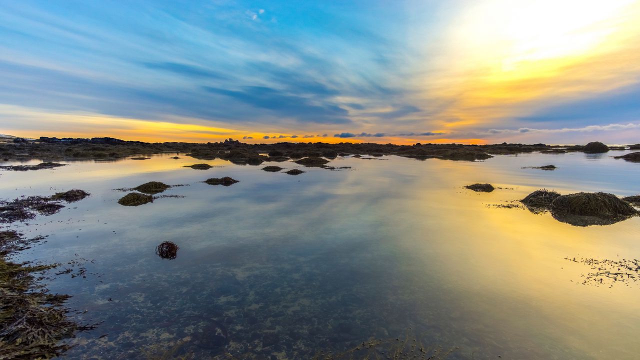 Wallpaper lake, algae, horizon, sky