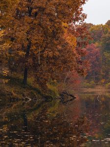 Preview wallpaper lake, autumn, forest, shore, nature