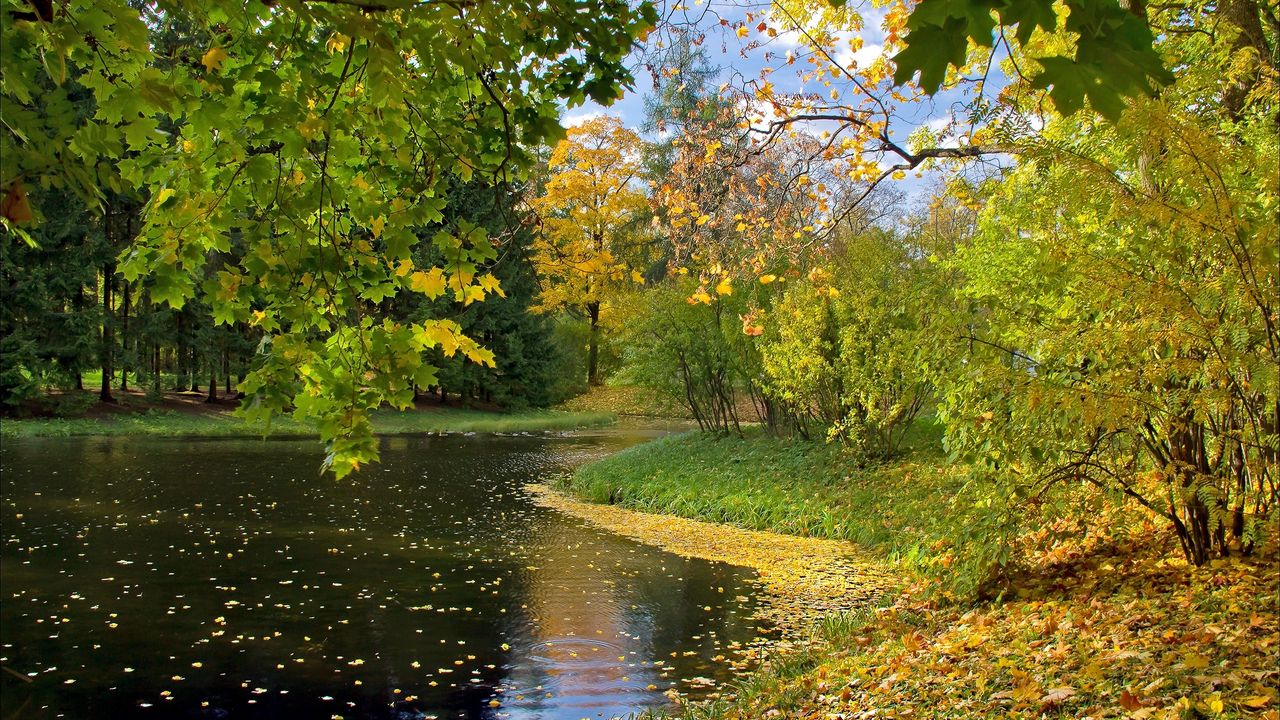 Wallpaper lake, autumn, leaves
