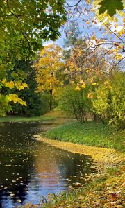 Preview wallpaper lake, autumn, leaves