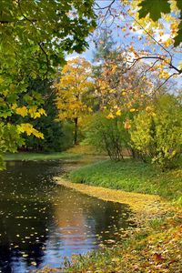 Preview wallpaper lake, autumn, leaves