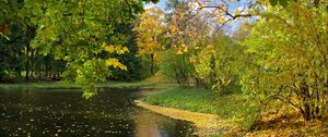 Preview wallpaper lake, autumn, leaves