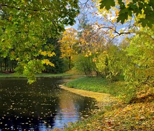 Preview wallpaper lake, autumn, leaves