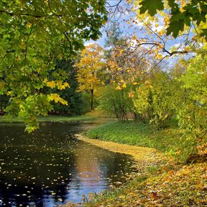 Preview wallpaper lake, autumn, leaves