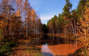Preview wallpaper lake, autumn, trees, leaf fall, water, surface, sky, clearly, october, pool