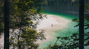 Preview wallpaper lake, beach, forest, mountains, nature