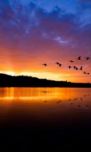 Preview wallpaper lake, birds, flight, hills, evening