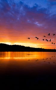 Preview wallpaper lake, birds, flight, hills, evening