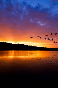 Preview wallpaper lake, birds, flight, hills, evening