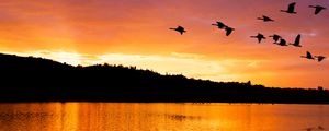 Preview wallpaper lake, birds, flight, hills, evening