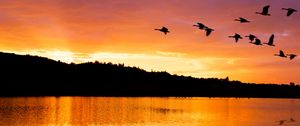 Preview wallpaper lake, birds, flight, hills, evening
