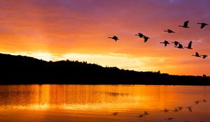 Preview wallpaper lake, birds, flight, hills, evening