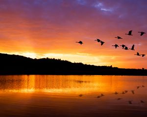 Preview wallpaper lake, birds, flight, hills, evening