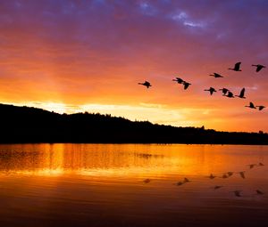 Preview wallpaper lake, birds, flight, hills, evening