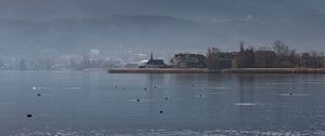 Preview wallpaper lake, birds, ripples, buildings, shore, fog