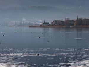 Preview wallpaper lake, birds, ripples, buildings, shore, fog