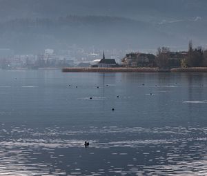 Preview wallpaper lake, birds, ripples, buildings, shore, fog