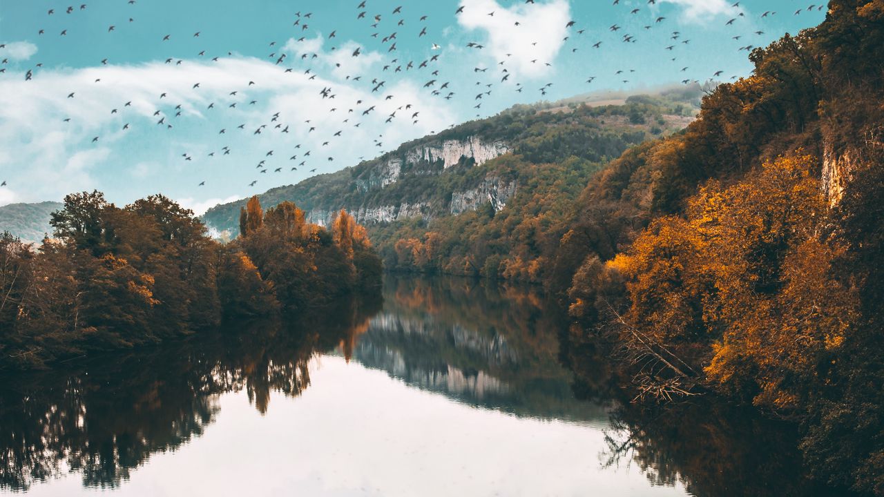Wallpaper lake, birds, trees, flight, reflection, autumn