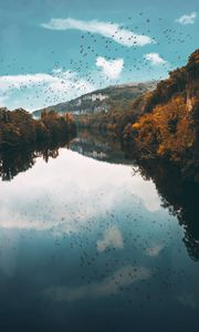 Preview wallpaper lake, birds, trees, flight, reflection, autumn