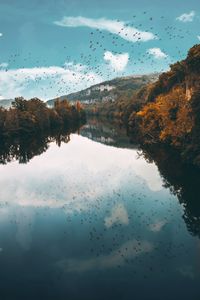 Preview wallpaper lake, birds, trees, flight, reflection, autumn