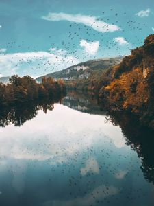 Preview wallpaper lake, birds, trees, flight, reflection, autumn