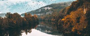 Preview wallpaper lake, birds, trees, flight, reflection, autumn
