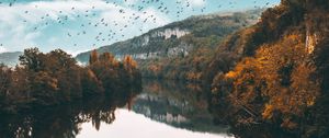 Preview wallpaper lake, birds, trees, flight, reflection, autumn