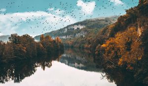 Preview wallpaper lake, birds, trees, flight, reflection, autumn