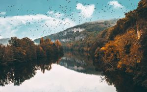 Preview wallpaper lake, birds, trees, flight, reflection, autumn