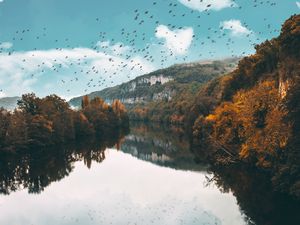 Preview wallpaper lake, birds, trees, flight, reflection, autumn