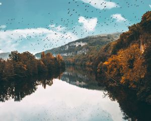 Preview wallpaper lake, birds, trees, flight, reflection, autumn