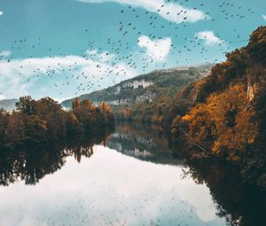 Preview wallpaper lake, birds, trees, flight, reflection, autumn