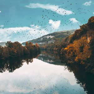 Preview wallpaper lake, birds, trees, flight, reflection, autumn