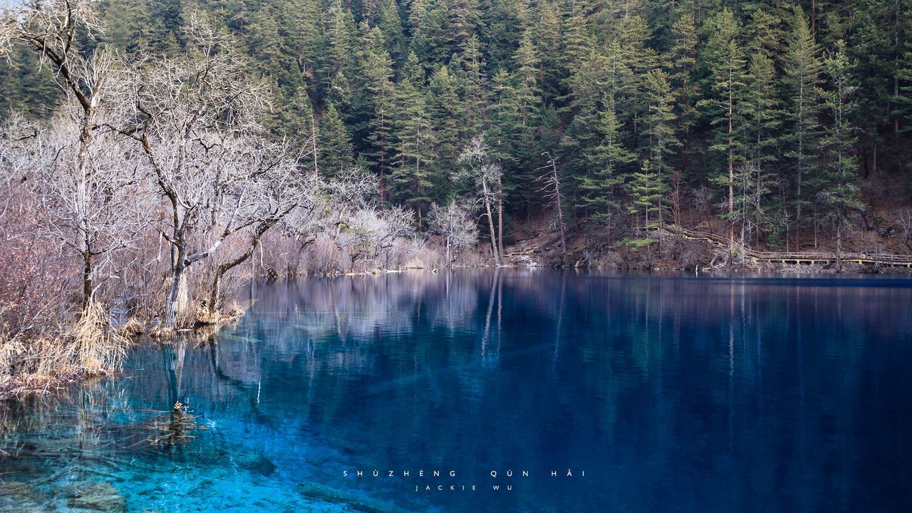 Wallpaper lake, blue water, transparent, wood, coast