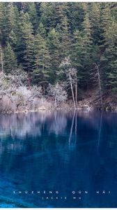 Preview wallpaper lake, blue water, transparent, wood, coast