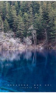 Preview wallpaper lake, blue water, transparent, wood, coast