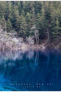 Preview wallpaper lake, blue water, transparent, wood, coast