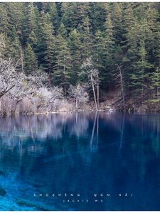 Preview wallpaper lake, blue water, transparent, wood, coast