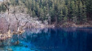 Preview wallpaper lake, blue water, transparent, wood, coast