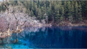 Preview wallpaper lake, blue water, transparent, wood, coast