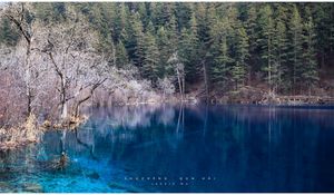 Preview wallpaper lake, blue water, transparent, wood, coast