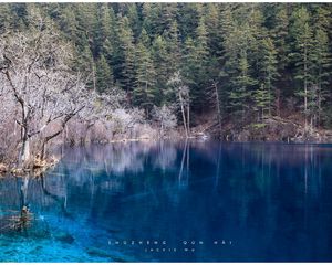 Preview wallpaper lake, blue water, transparent, wood, coast