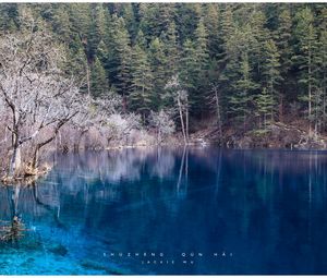 Preview wallpaper lake, blue water, transparent, wood, coast